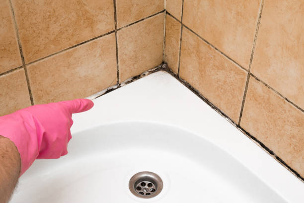 Best Mold Removal and Inspection  in Flandreau, SD